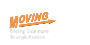 Seeing God move through Exodus